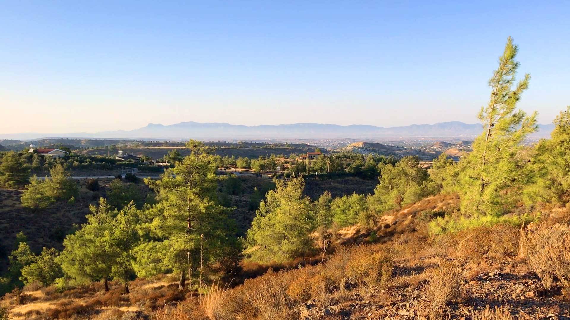 A view that inspires you