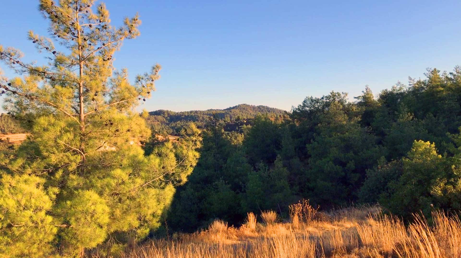 Yes, <br>there is fresh air...<br>closer than you thought