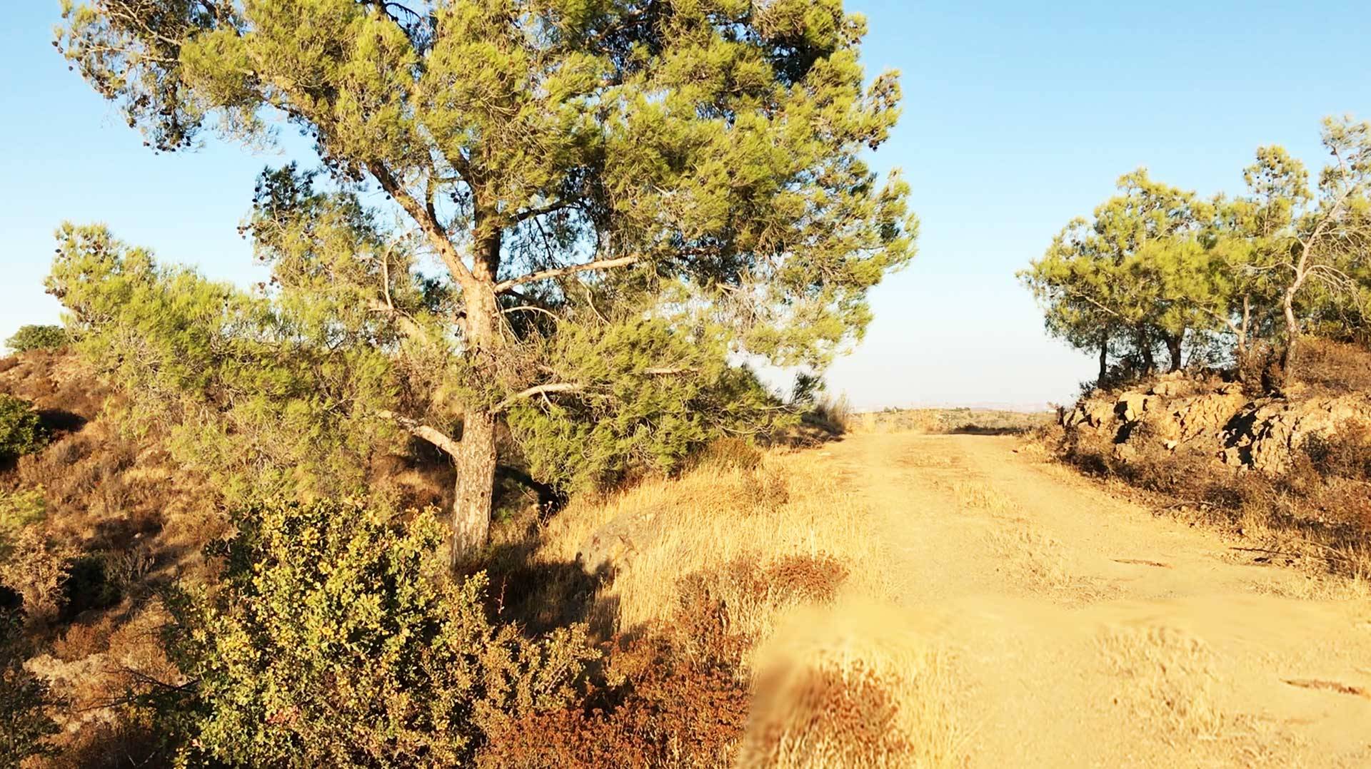 Elsewhere, but close